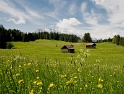 LandSüdtirol D35_5022 als Smart-Objekt-1 Kopie